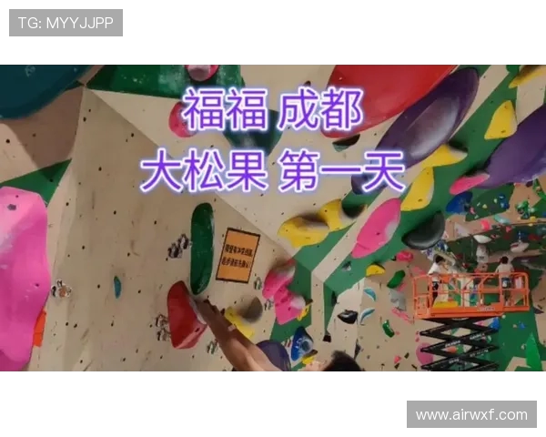 成都攀岩队在世界攀岩锦标赛中以86分领先积分榜，展现强劲实力