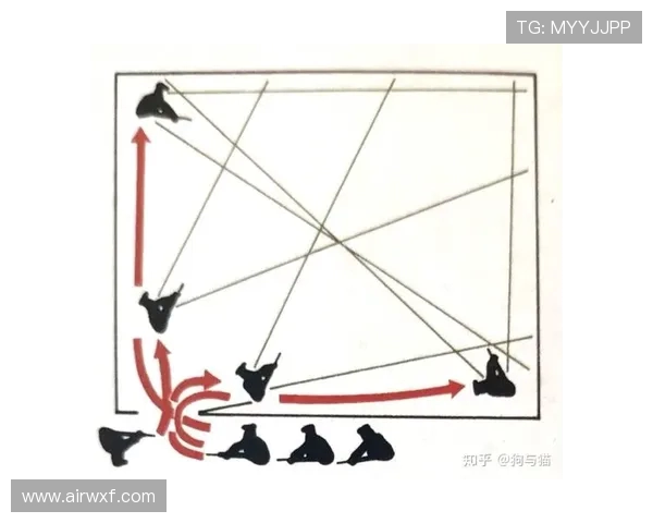 西安羽毛球队整体压制战术解析与实战应用探讨