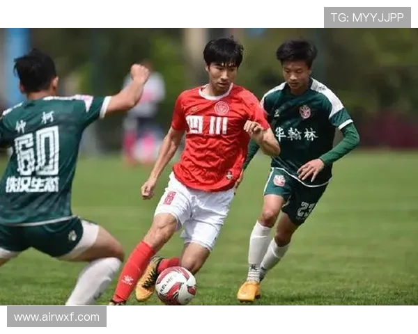 武汉足球队实力强劲荣登足球个人能力排行榜第七名