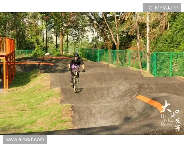 重庆极限运动队的节奏变迁与成败分析探讨