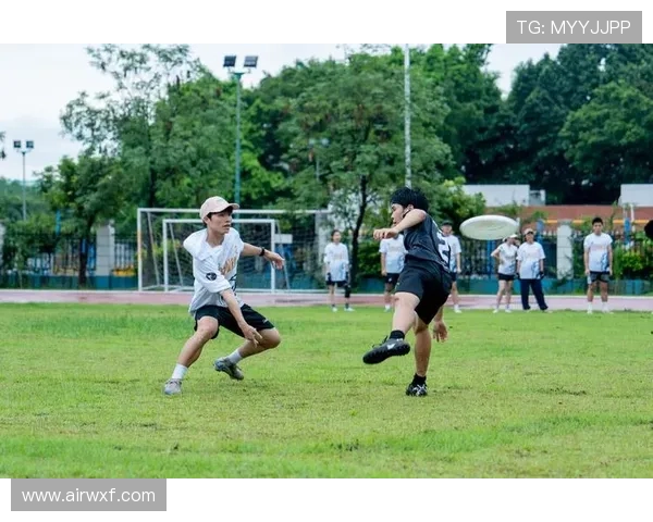 飞盘盛宴：深入解析上海飞盘队的实力与未来发展潜力