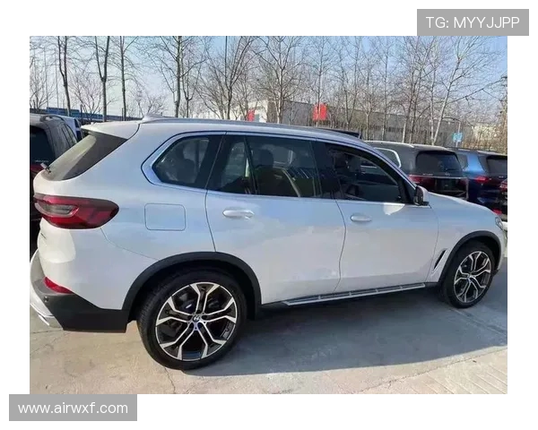 广州网球队技术表现深度分析与数据解读探讨